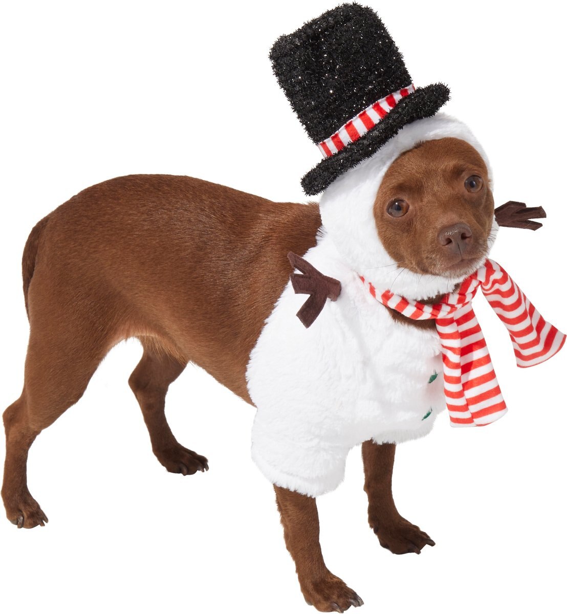 Frisco Front Walking Snowman Dog and Cat Costume