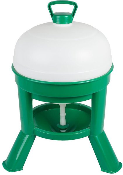 My Favorite Chicken Siphon Poultry Drinker， 5.2-gal