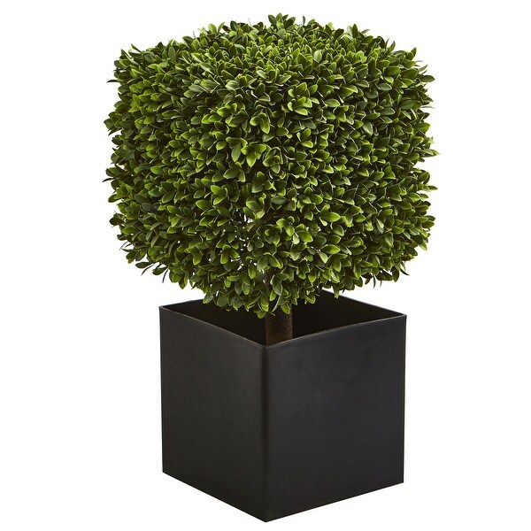 27 Boxwood Artificial Plant in Black Planter (Indoor/Outdoor)