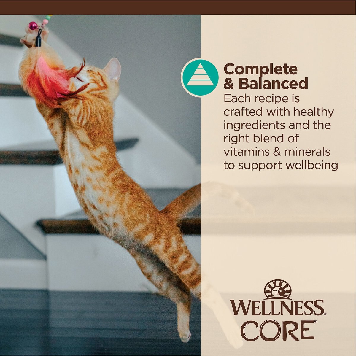 Wellness Tiny Tasters Tuna and Salmon Grain-Free Flaked Wet Cat Food， 1.75-oz pouch， case of 12