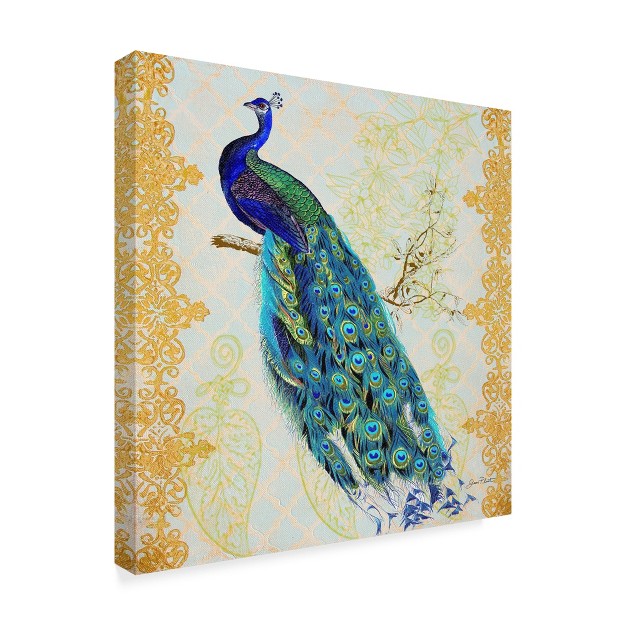 Trademark Fine Art jean Plout x27 beautiful Peacock x27 Canvas Art