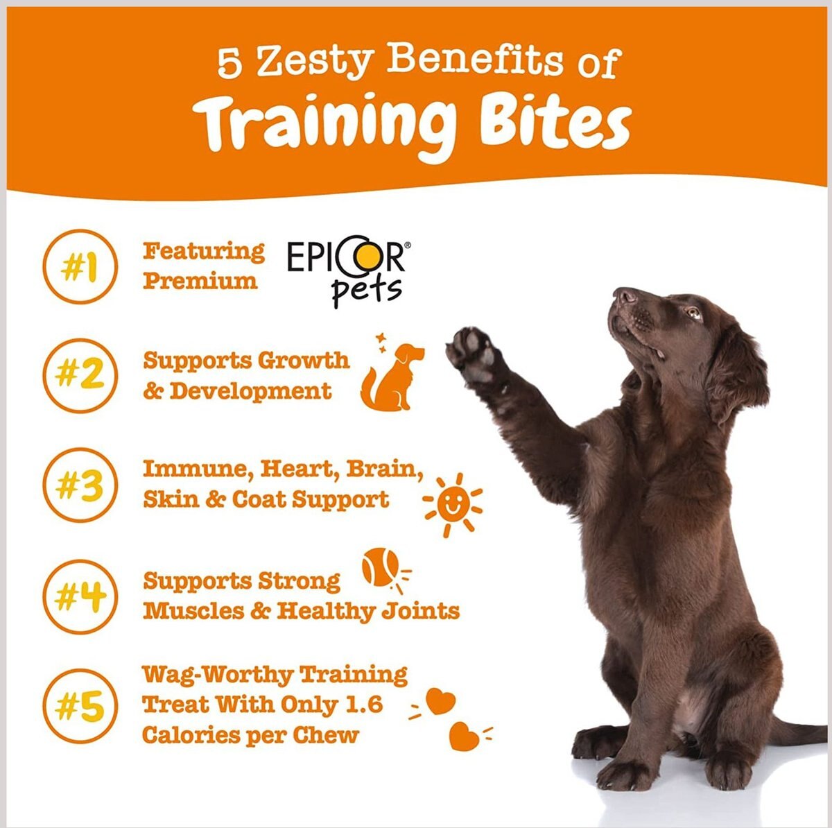 Zesty Paws Bacon Flavored All-in-One Training Bites Dog Treats， 12-oz pouch