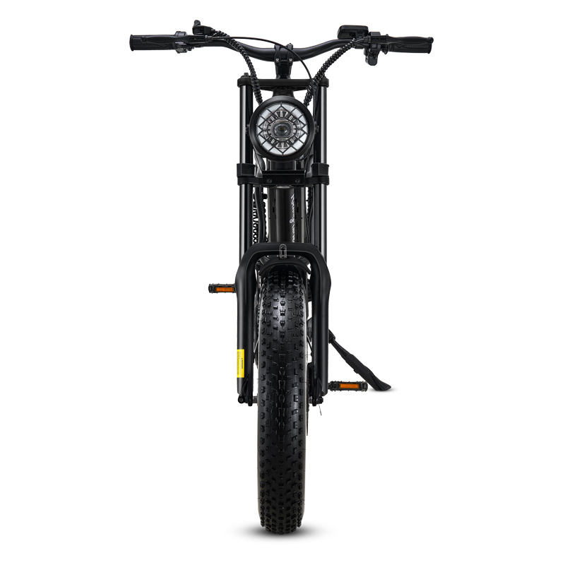 DROPSHIP ADULT BEACH Z8 ELECTRIC BIKE BICYCLE with Thumb throttle