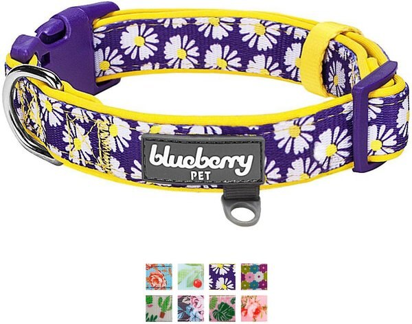 Blueberry Pet Floral Prints Polyester Dog Collar