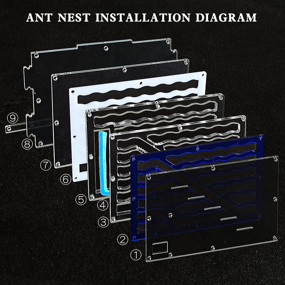 Ant House