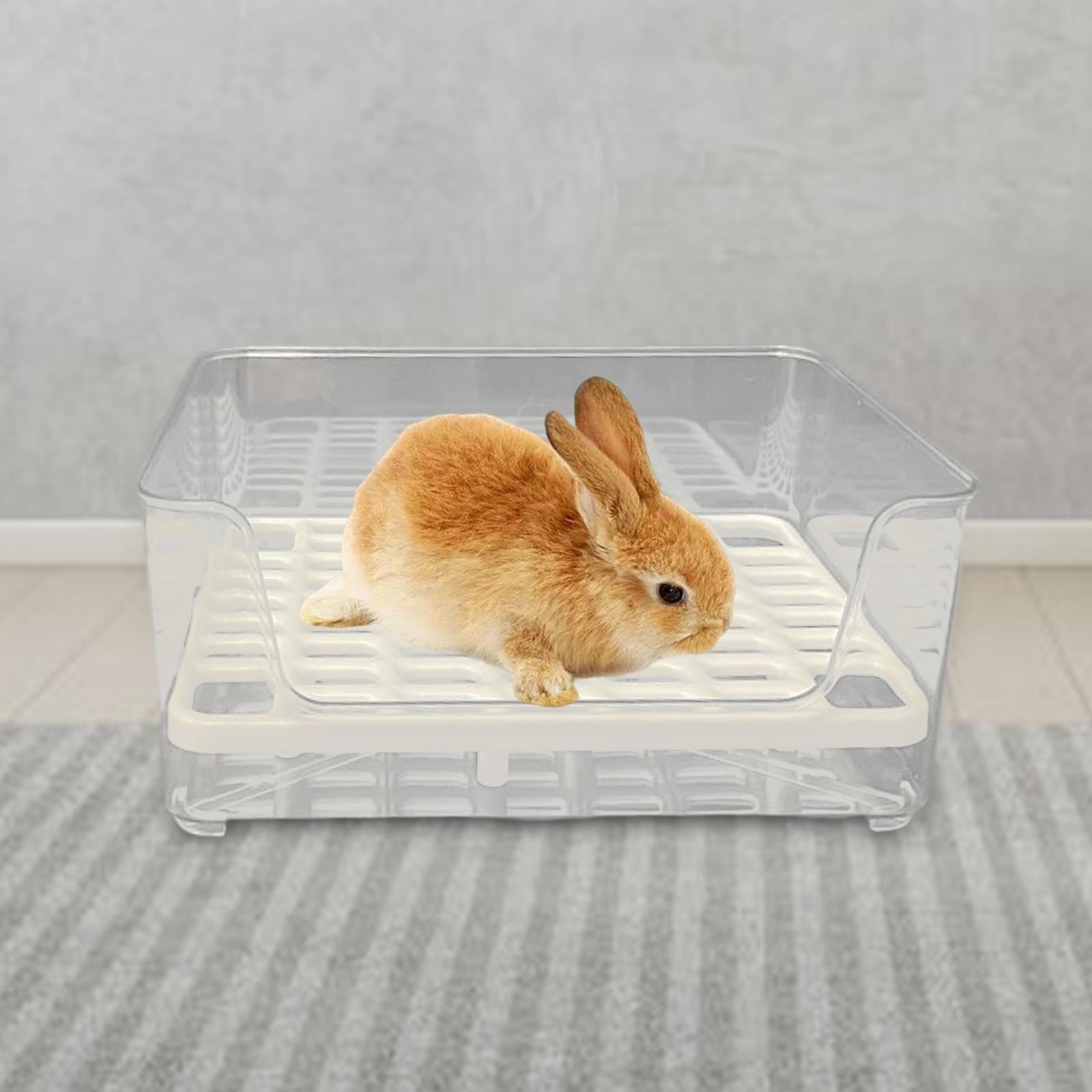 Rabbit Litter Box Rectangular Litter Box Potty Trainer for Rabbits Galesaurus