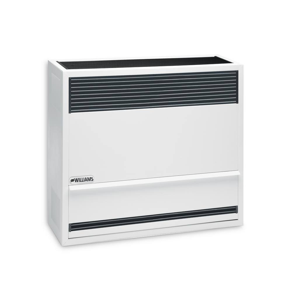 Williams Direct-Vent Gravity Wall Heater 22000 BTUH 67% AFUE Natural Gas 2203822