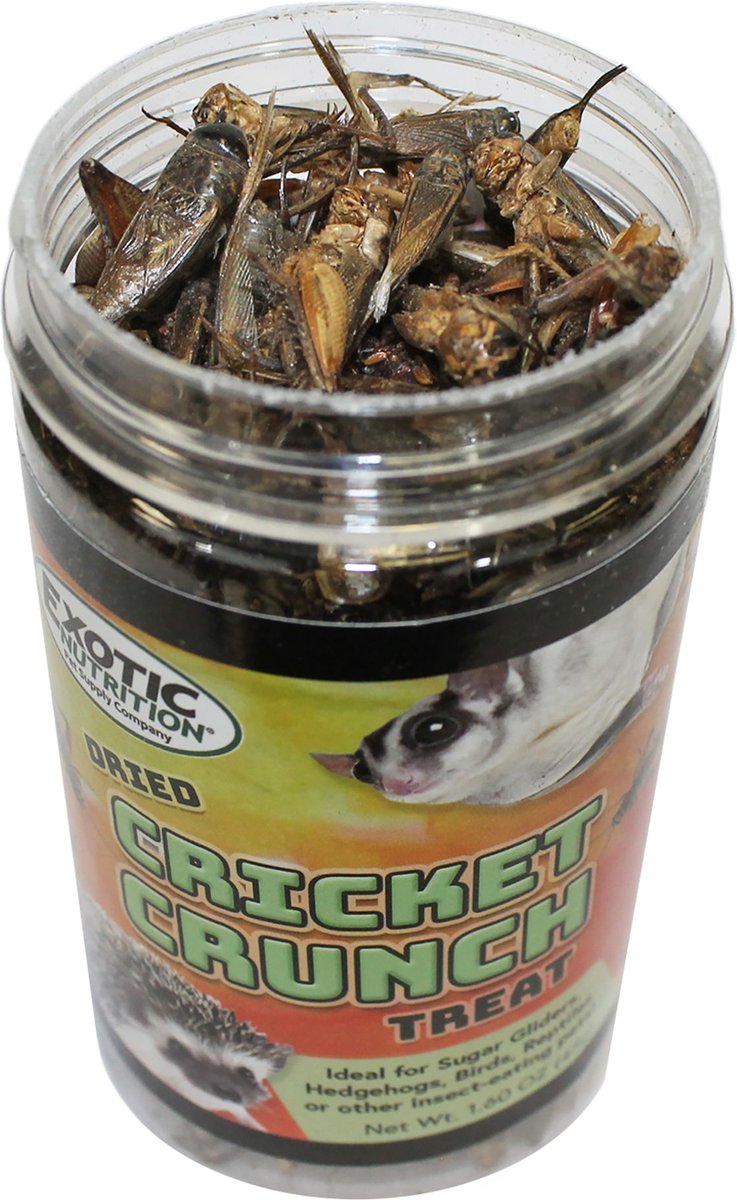 Exotic Nutrition Cricket Crunch Hedgehog Treats， 1.58-oz jar