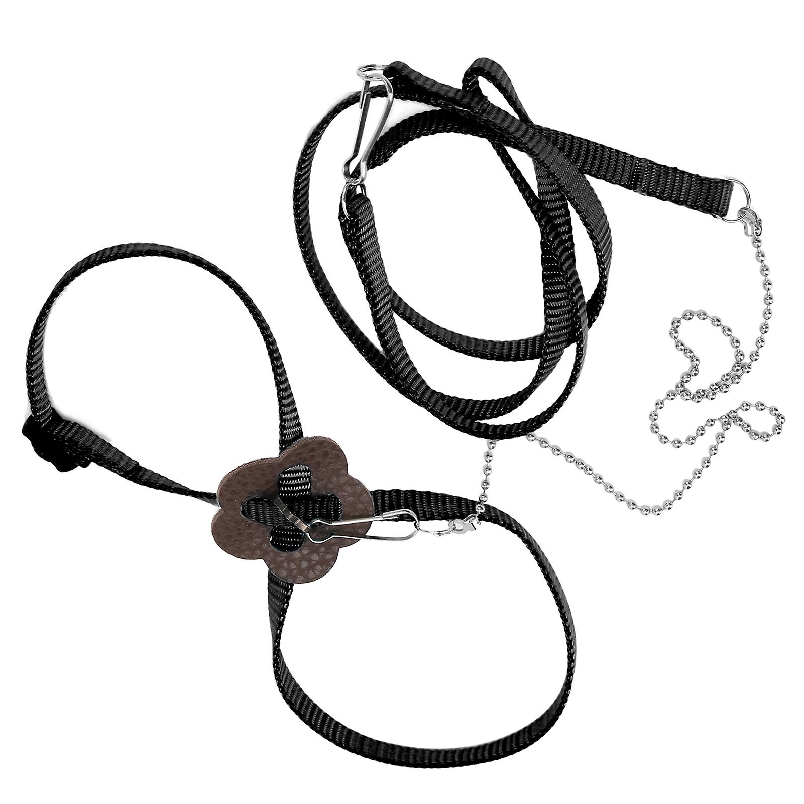 Lizard Reptile Lizard Harness Adjustable Walking Lead Control Traction Rope For Reptiles Outdoor Carrying Walkingblack