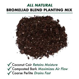 Better-Gro 8 qt. Bromeliad Blend Potting Mix Twin Pack 50081