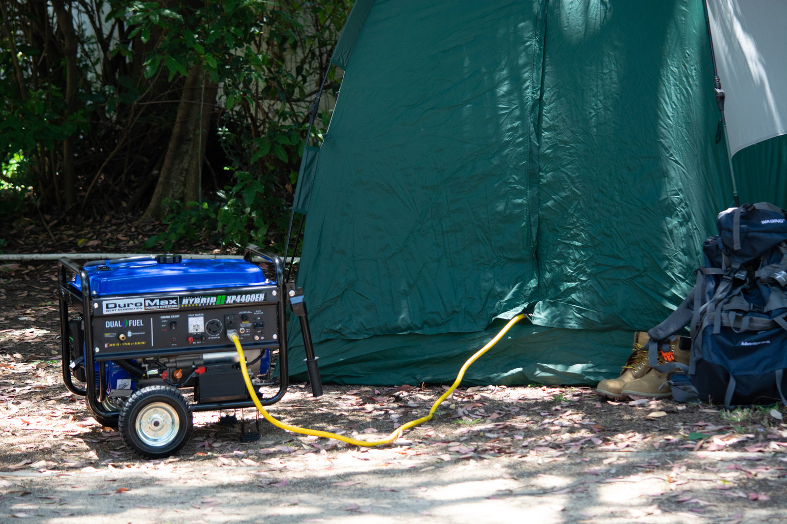 4,400 Watt Dual Fuel Portable Generator