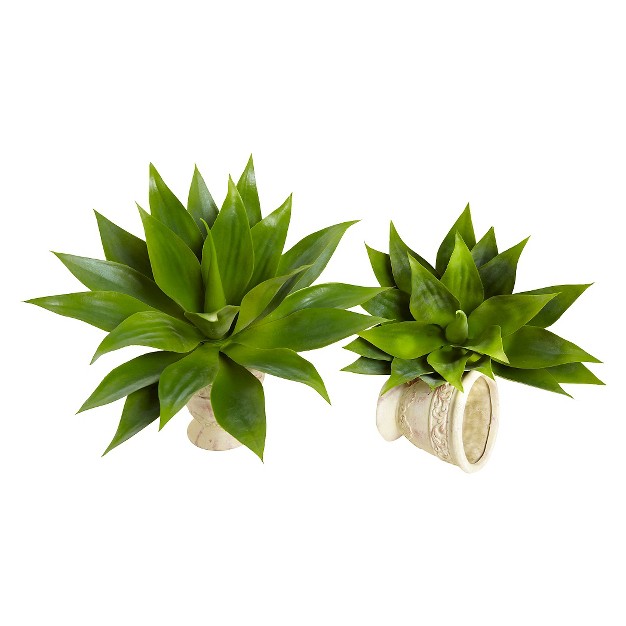 Agave Succulent Plant (set Of 2)