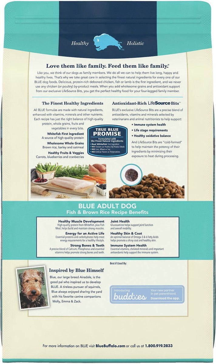 Blue Buffalo Life Protection Formula Adult Fish and Brown Rice Recipe Dry Dog Food