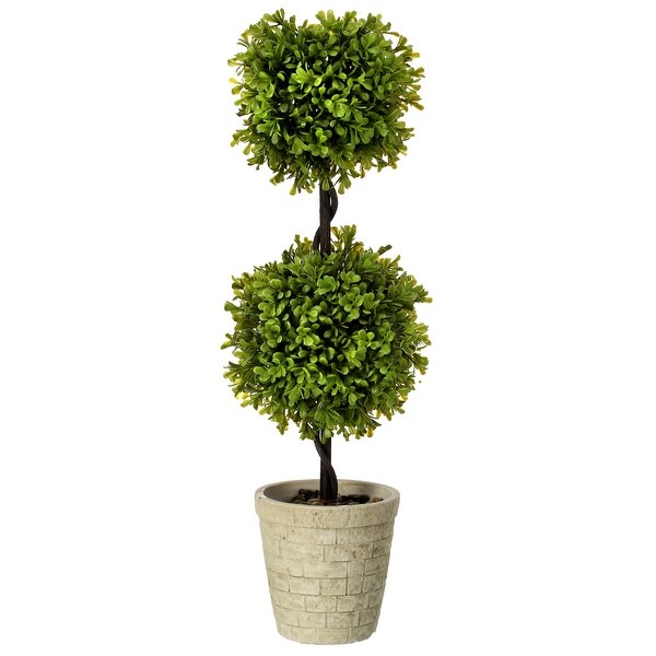 Potted Spring Boxwood Dbl Ball Topiary 24