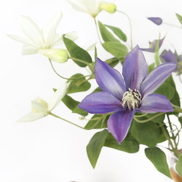 FloralGoods Luxury Silk Clematis Stem in Purple or White 28 Tall