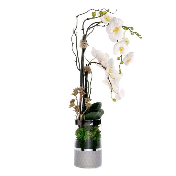 White Orchid Arrangement in Silver Cylinder Glass Vase