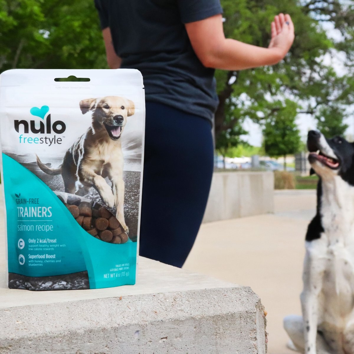 Nulo Freestyle Salmon Recipe Grain-Free Dog Training Treats