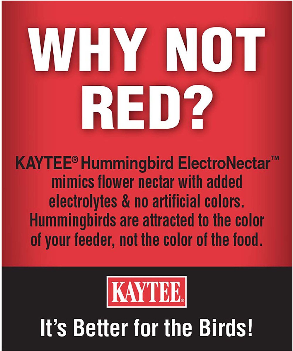 Kaytee Electro Nectar Hummingbird Food