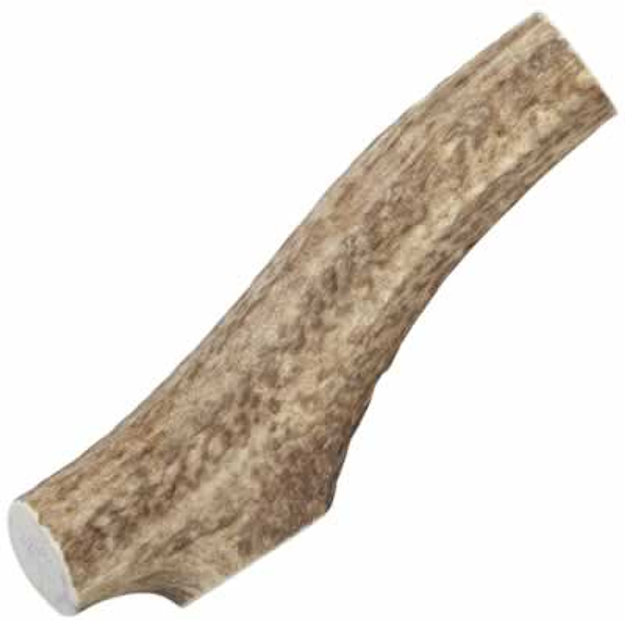 Happy Dog of Cape Cod Whole Elk Antler， XXX-Large