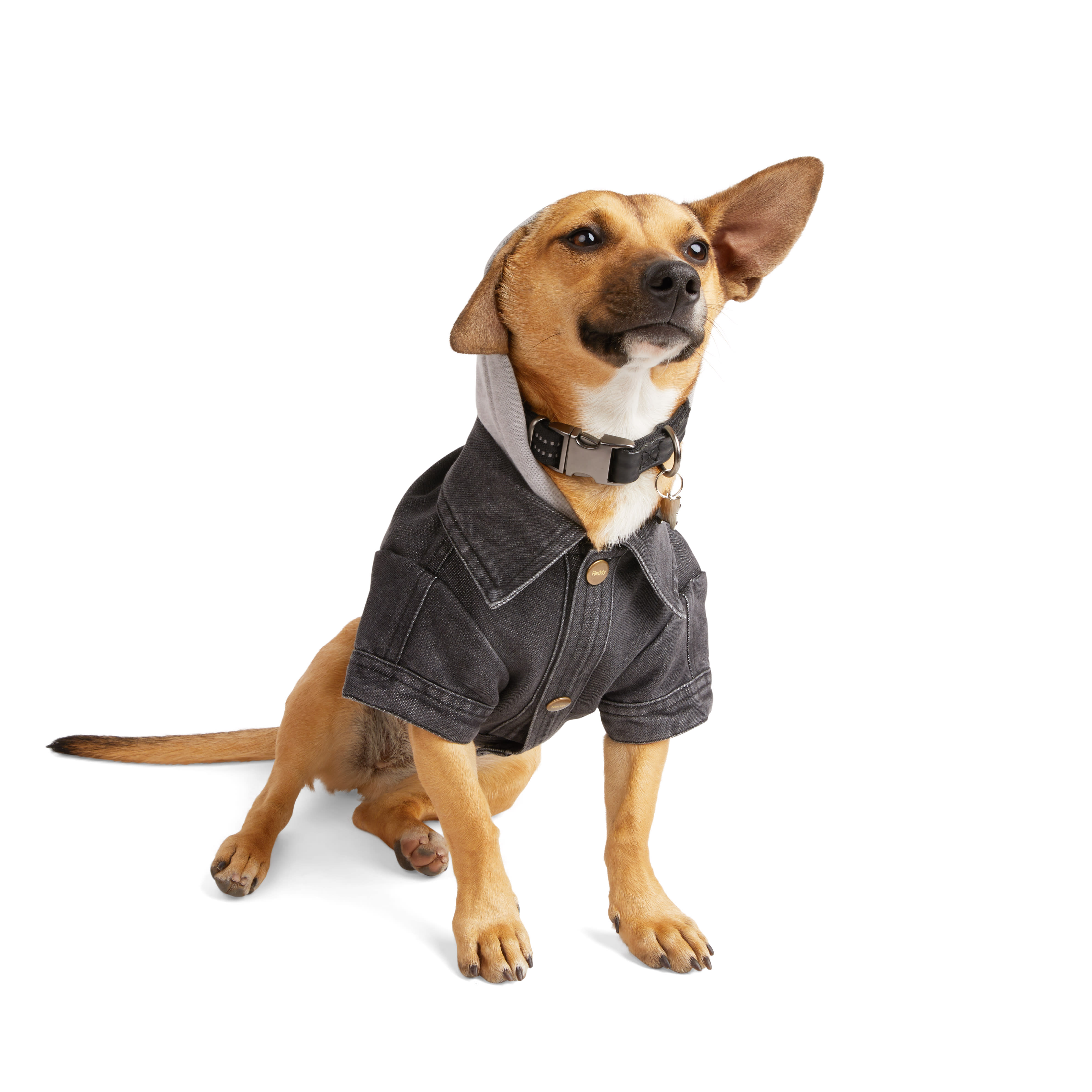 REDDY Denim Dog Jacket， X-Small