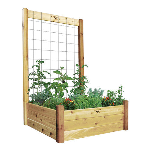 Raised Garden Bed with Trellis Kit