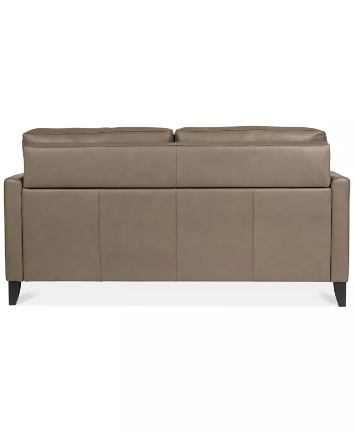 Furniture Priley 70 Leather Queen Sleeper Sofa