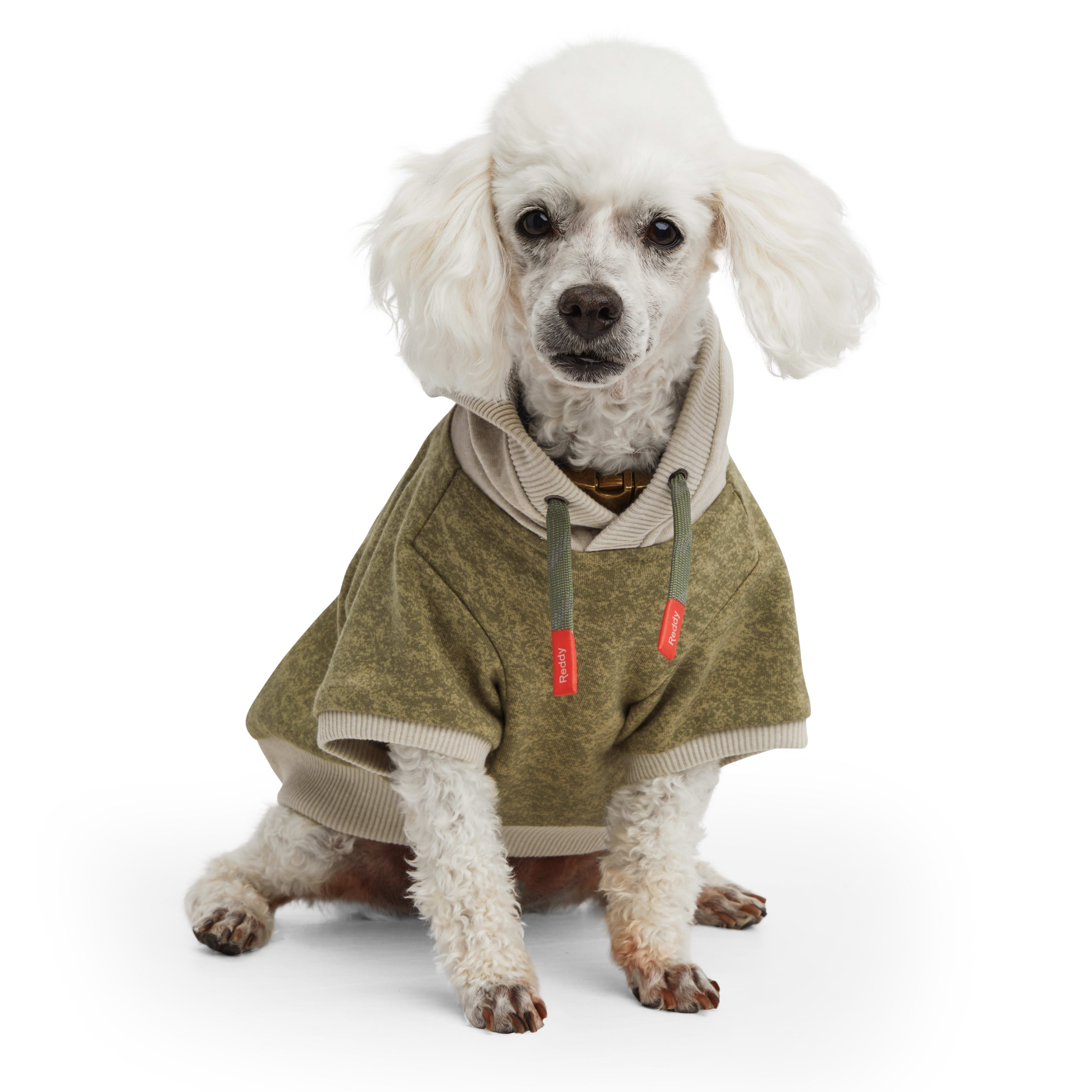 Reddy Olive and Grey Washed Dog Hoodie， X-Small