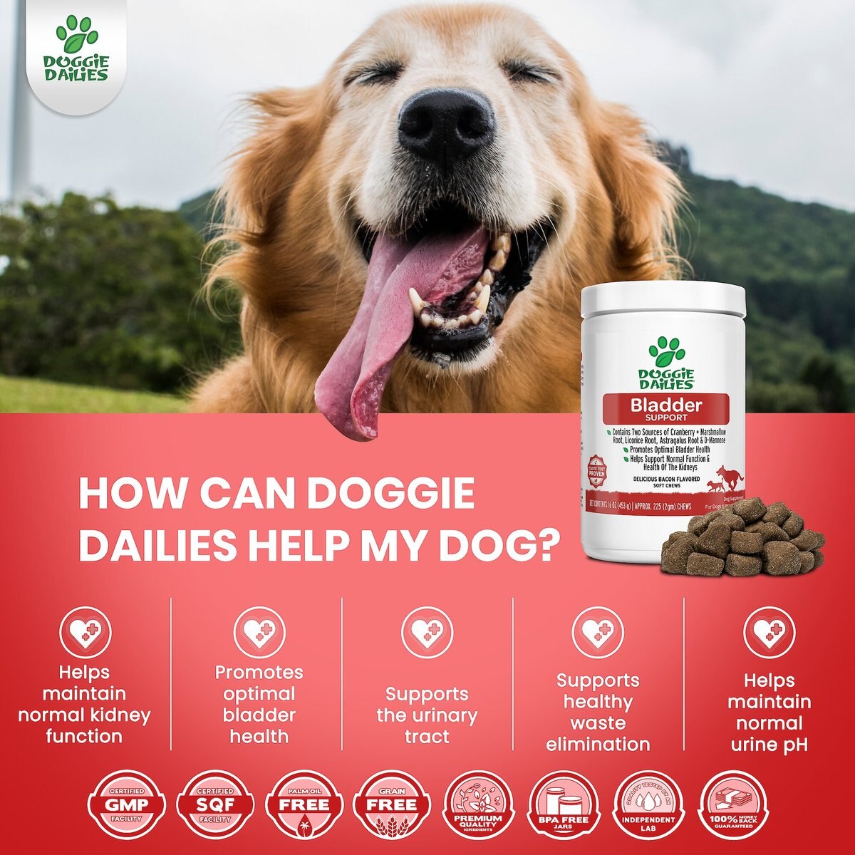 Doggie Dailies Urinary Support Dog Supplement， 225 count