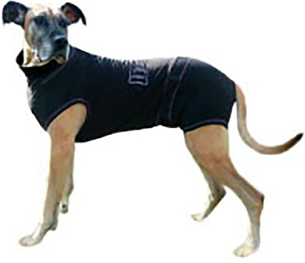 Medipaw Recovery Protective Dog Suit