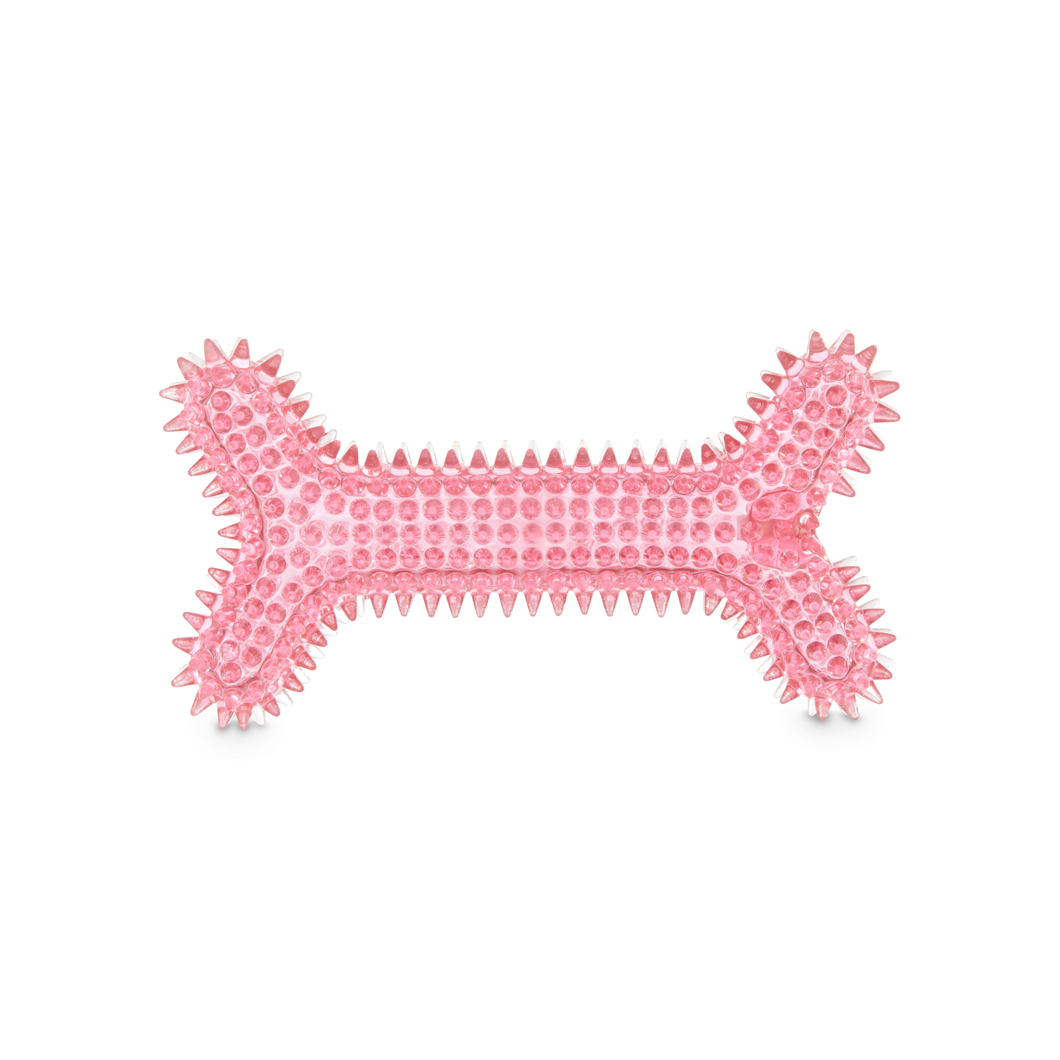 Leaps  Bounds Spiny Bone Dog Chew Toy in Various Styles， Medium