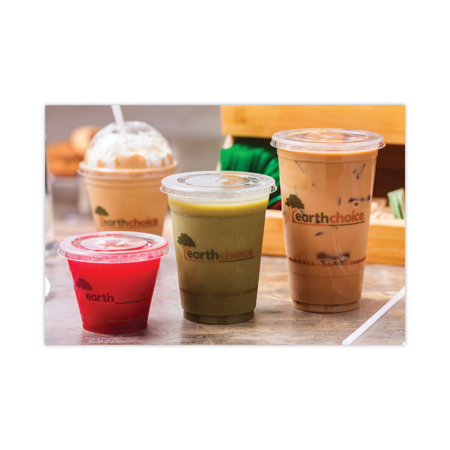 EarthChoice Compostable Cold Cup by Pactiv PCTYPLA24CEC