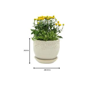 Paddock Home  Garden Ivy League 9 in. W x 8 in. H White Ceramic Planter with Saucer 521384