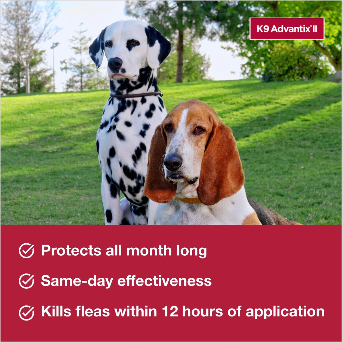 K9 Advantix II Flea and Tick Spot Treatment for Dogs， 21-55 lbs