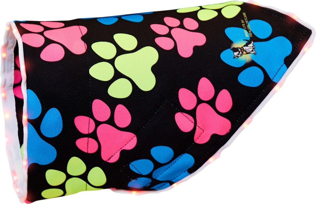 Healers Spot-Lite LED Lighted Dog Bandana