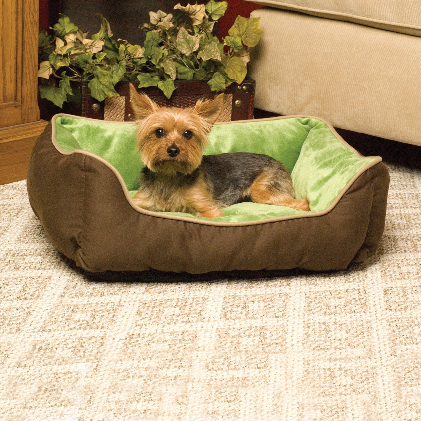 KandH Lounge Sleeper Pet Cat Bed， Mocha/Green