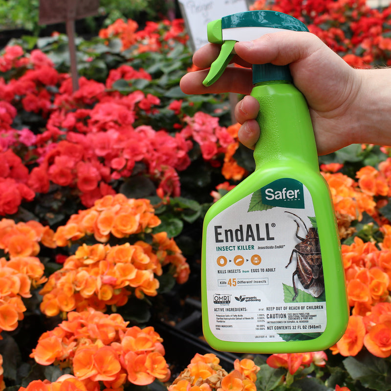 ENDALL INSECT KILL 32OZ.