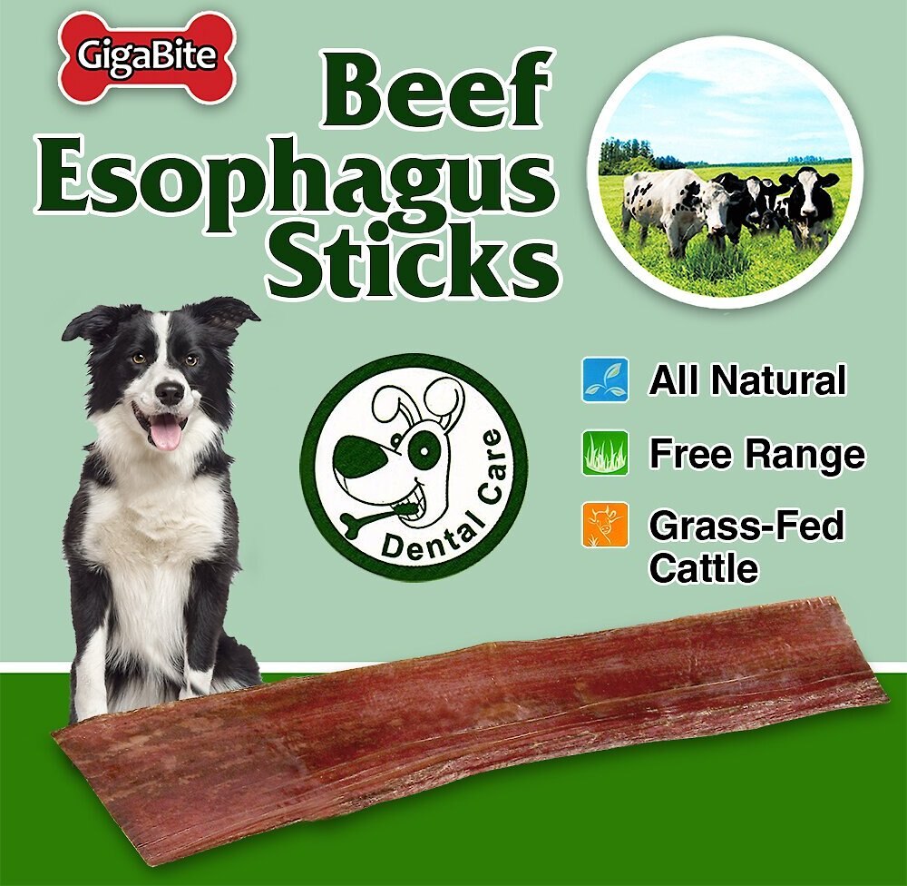 Best Pet Supplies GigaBite Beef Esophagus Dog Treats， 12-inch