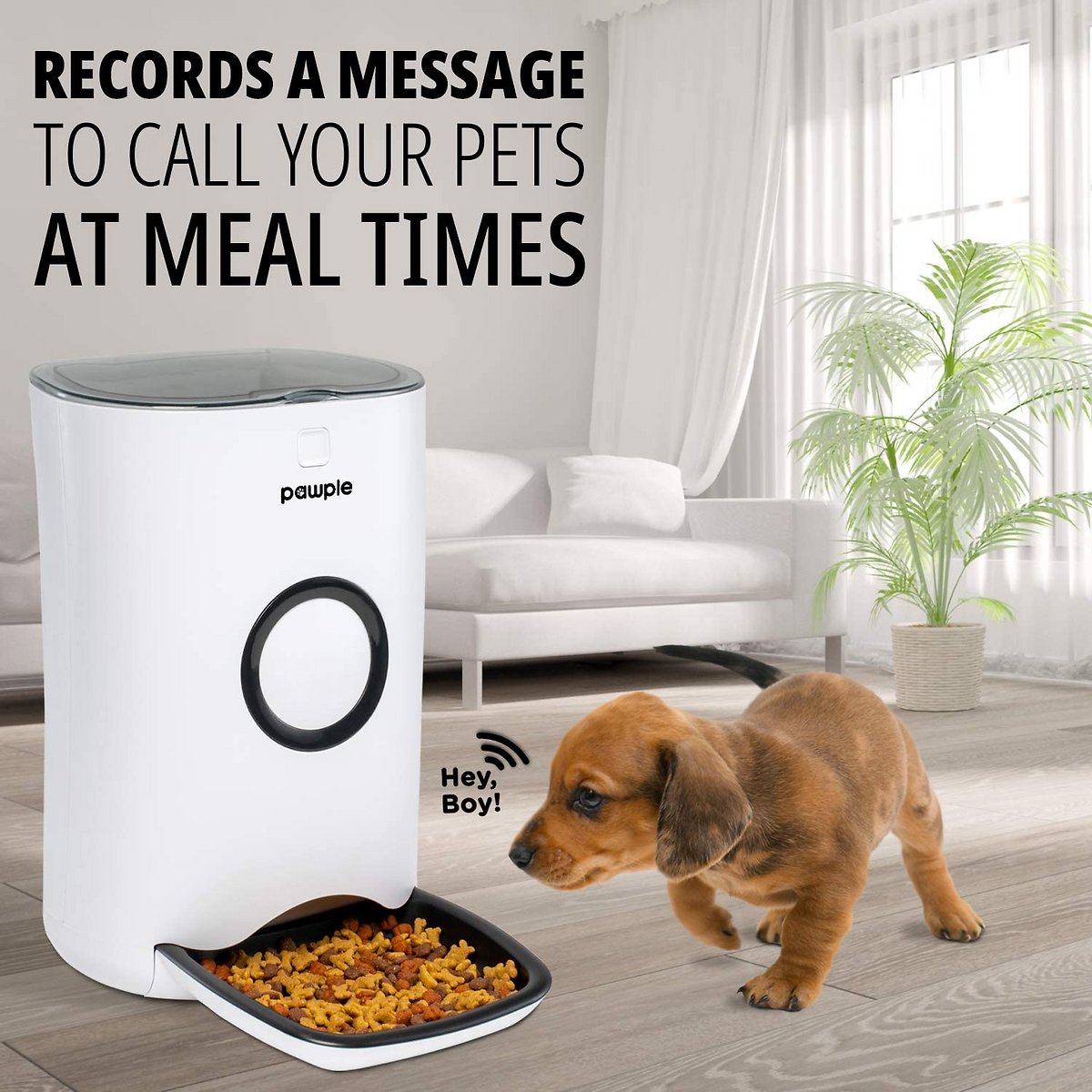 Pawple Automatic Pet Feeder Food Dispenser for Cats， Dogs， Small Animals - Features Distribution Alarms， Portion Control and Voice Recording -Programmable Timer Up to 4 Meals a Day - 20-cup