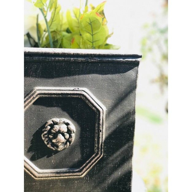 Wide Kante Lightweight Classic Square English Style Lion Head Concrete Outdoor Planter Pot Oil Rubbed Bronze