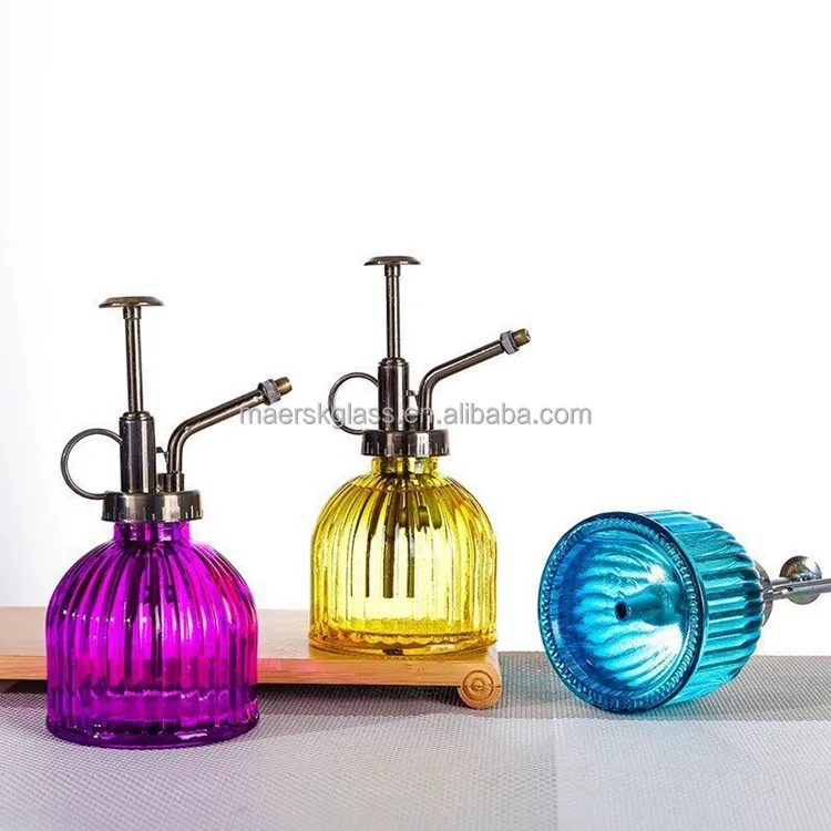 Glass Plant Mister Spray Bottle Plant Spritzer Small Watering Can Succulent Watering Bottle with Top Pump Sprayer