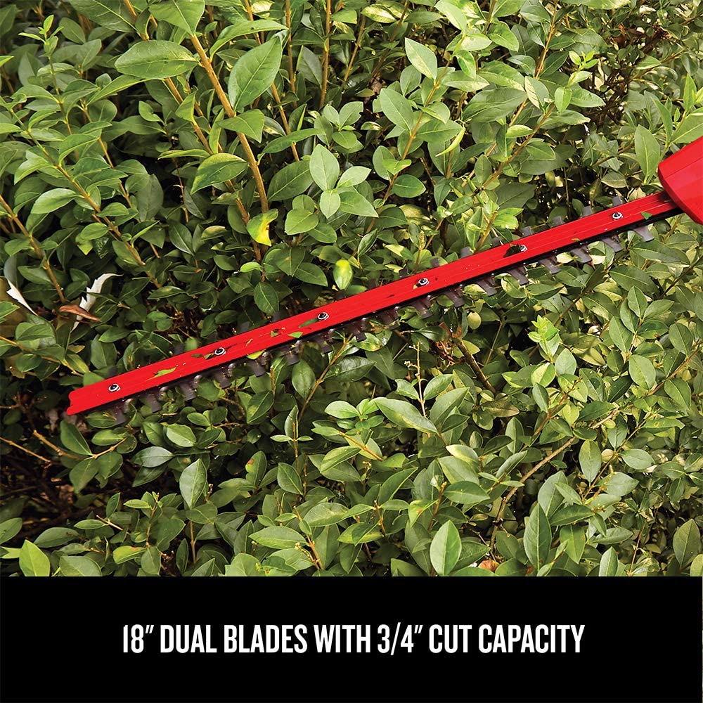 CRAFTSMAN V20 Cordless Pole Hedge Trimmer， 18-Inch， Extended Reach， Battery and Charger Included (CMCPHT818D1)