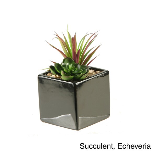 DandW Silks Plants in Square Ceramic Planter