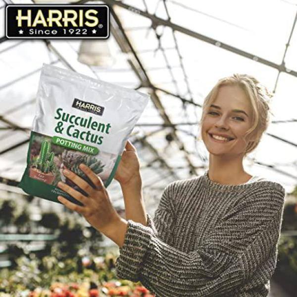 Harris 4qt. Succulent and Cactus Potting Soil Mix (2-Pack) 2SUCCL-4