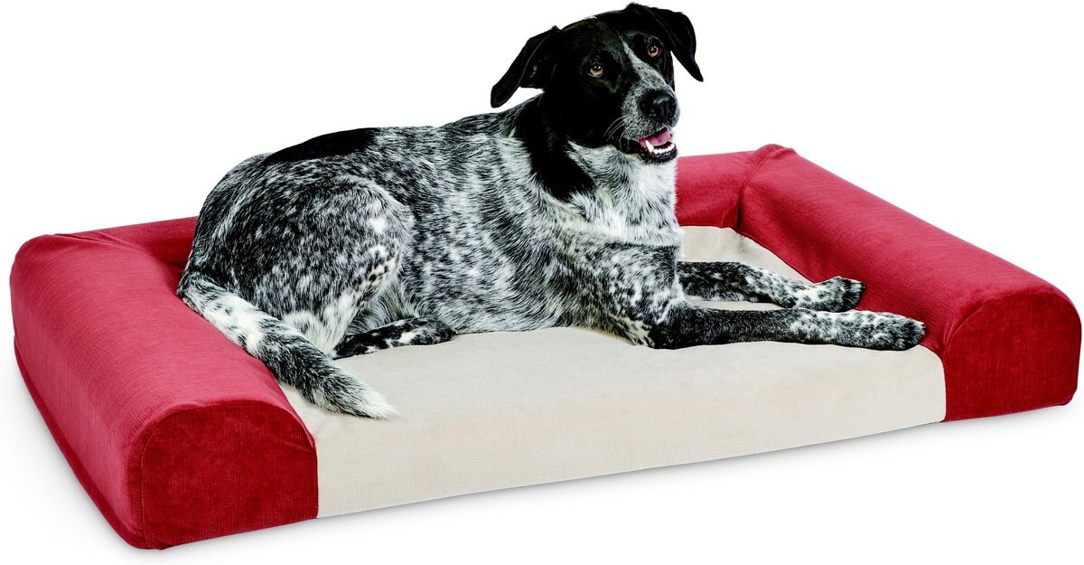 Midwest Signature QuietTime Memory Foam Dog and Cat Bed Sofa