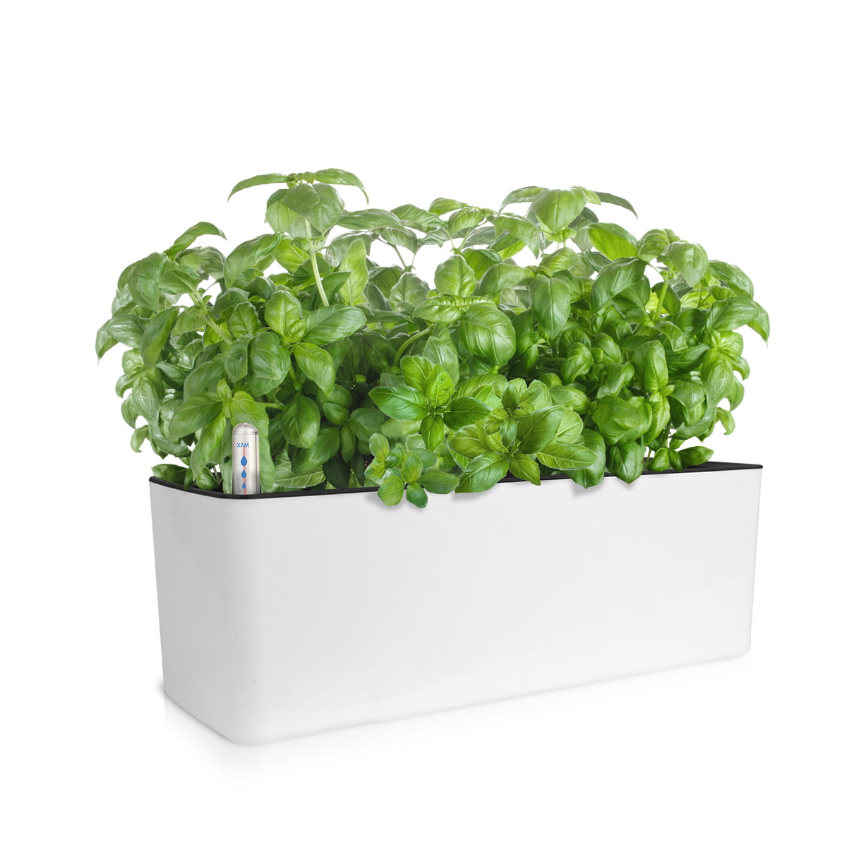 GrowLED Rectangle Self Watering Window Box Planter for Indoor Plants, White(15.8"x5.2"x5.2")