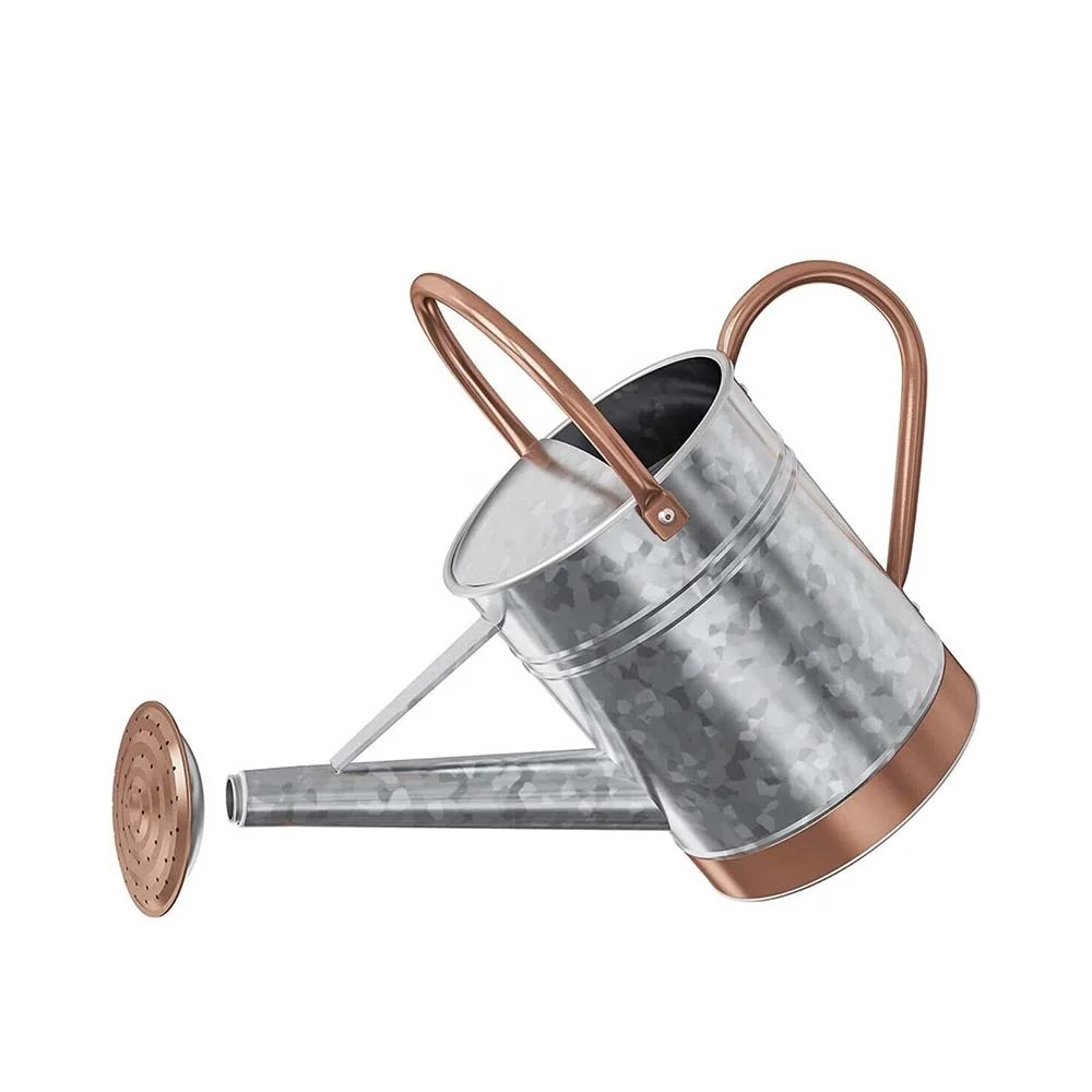 Decorative garden pots planters Silver   Rose Gold Watering Can Indoor Outdoor Pot for Home Gardening Plants Watering Circle