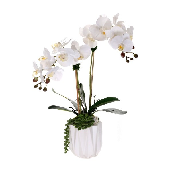 Real Touch Phalaenopsis Orchids with Succulent in White Pot