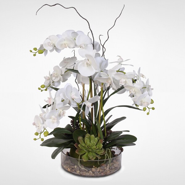 Real Touch Orchid with Succulents