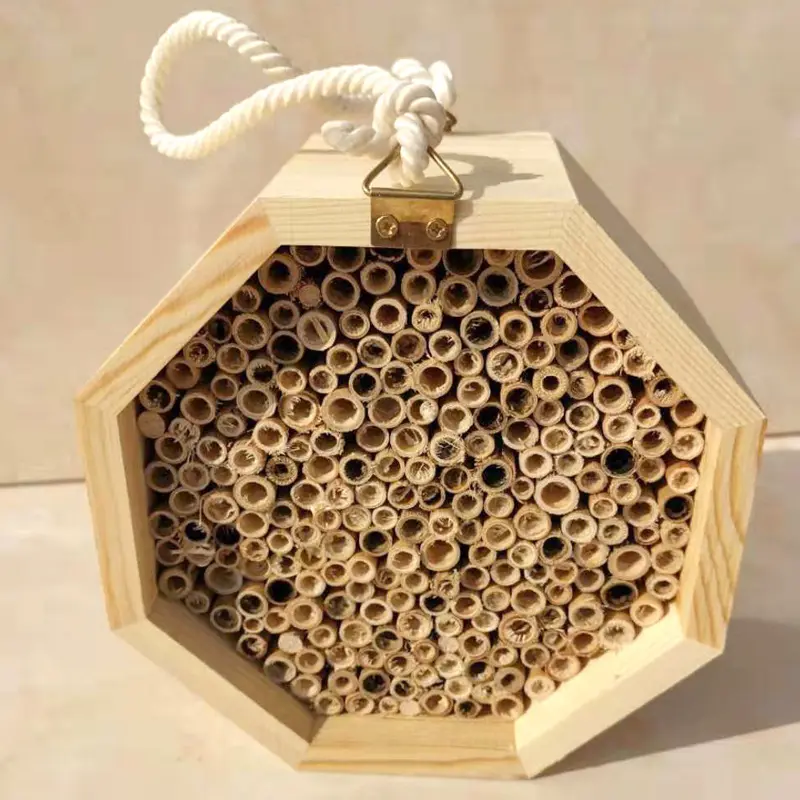 Wooden bee house outdoor lanyard creative insect nest pine bee box combination hive insect house garden supplies