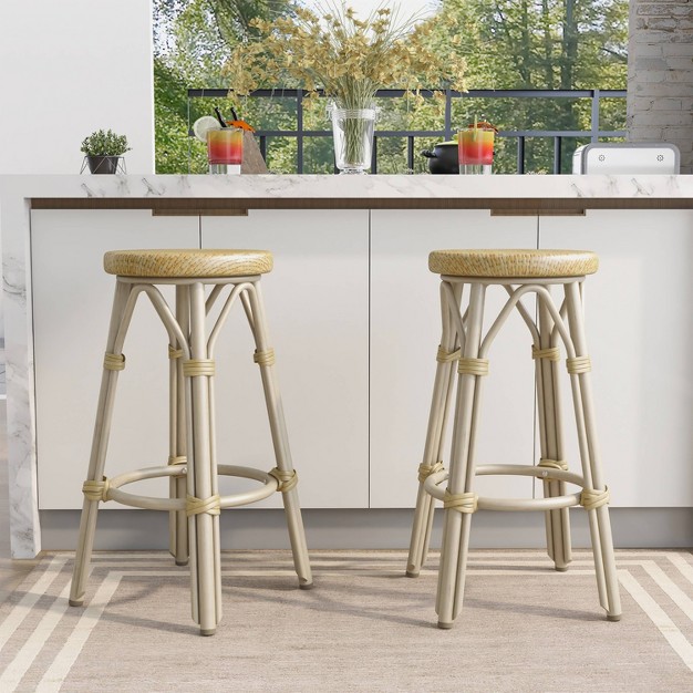 Counter Height Stool set Of 2 Mibasics